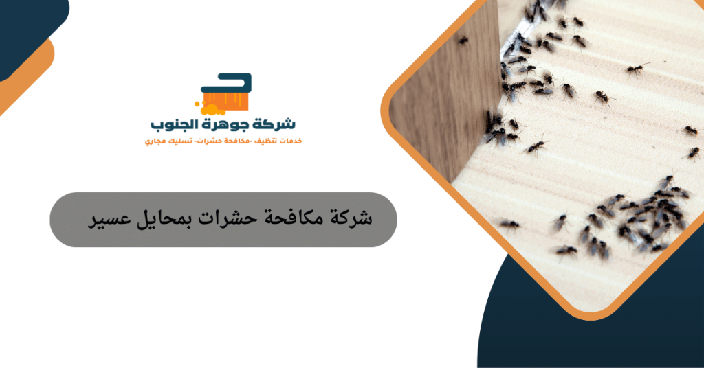 شركة مكافحة حشرات بمحايل عسير